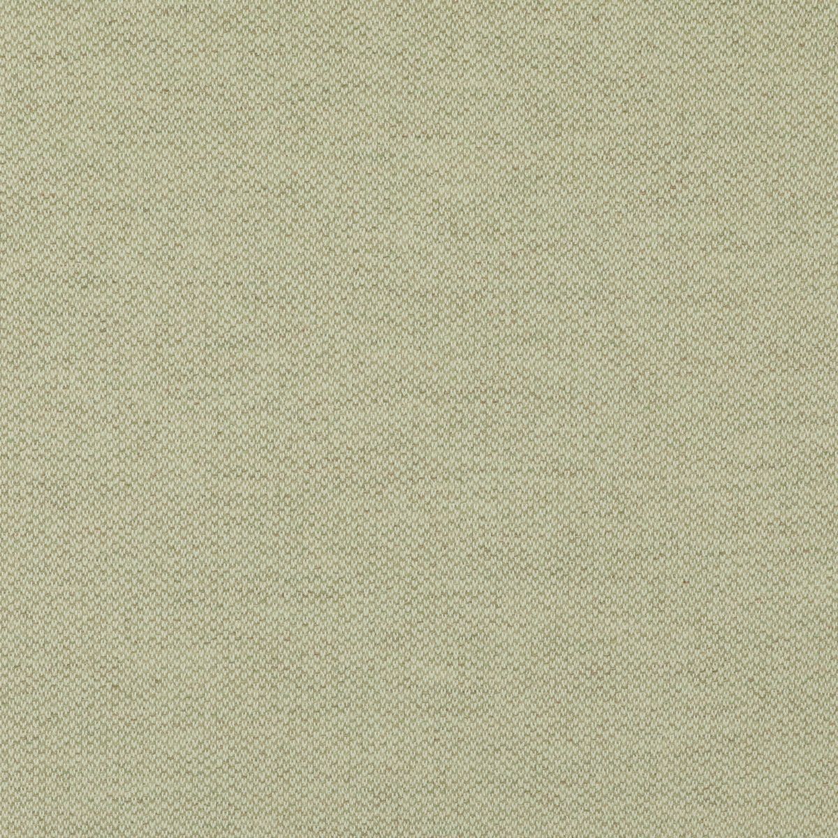 Plain Oatgrass Fabric by Abbotsford Textiles