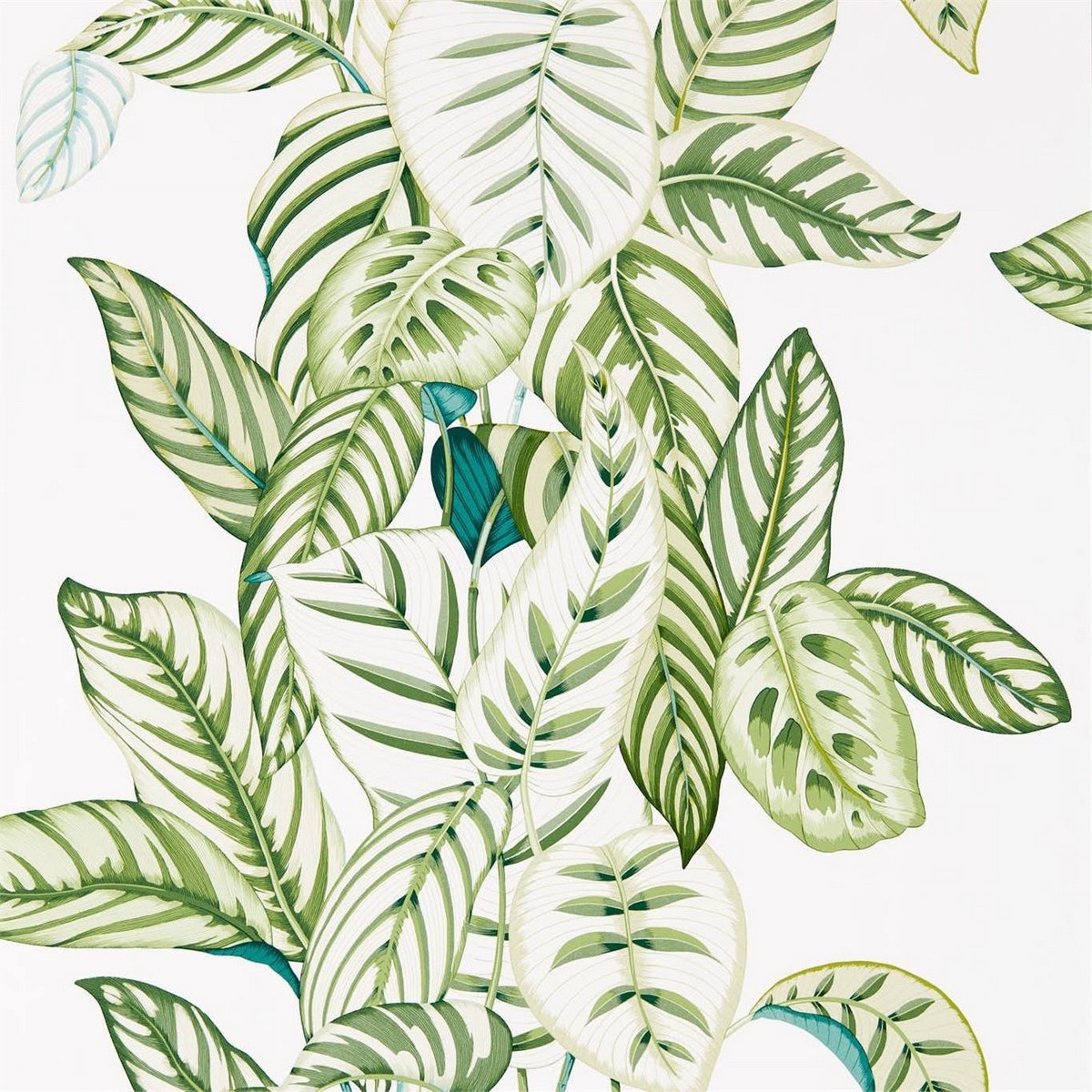 Calathea Botanical Green Fabric by Sanderson