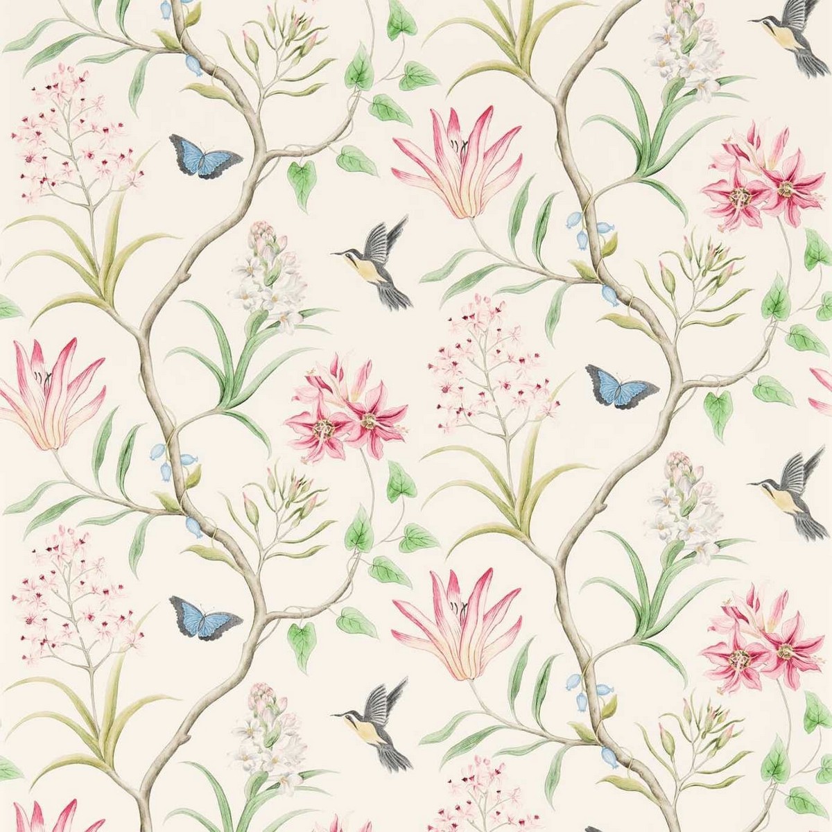 Clementine Chintz by Sanderson - Wallpaper - DVOY213388 - Britannia Rose