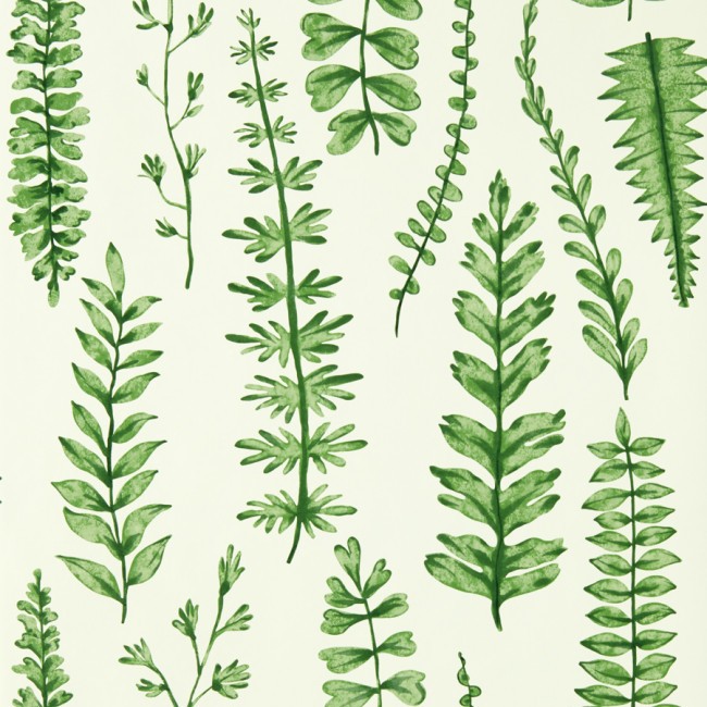 Ferns Juniper Fabric by Scion