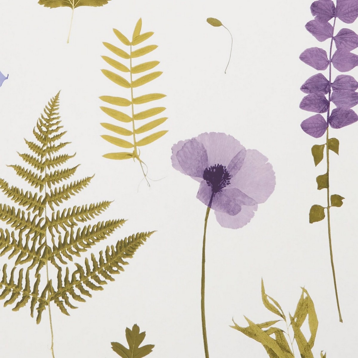 Herbarium Heather Fabric by Clarke & Clarke