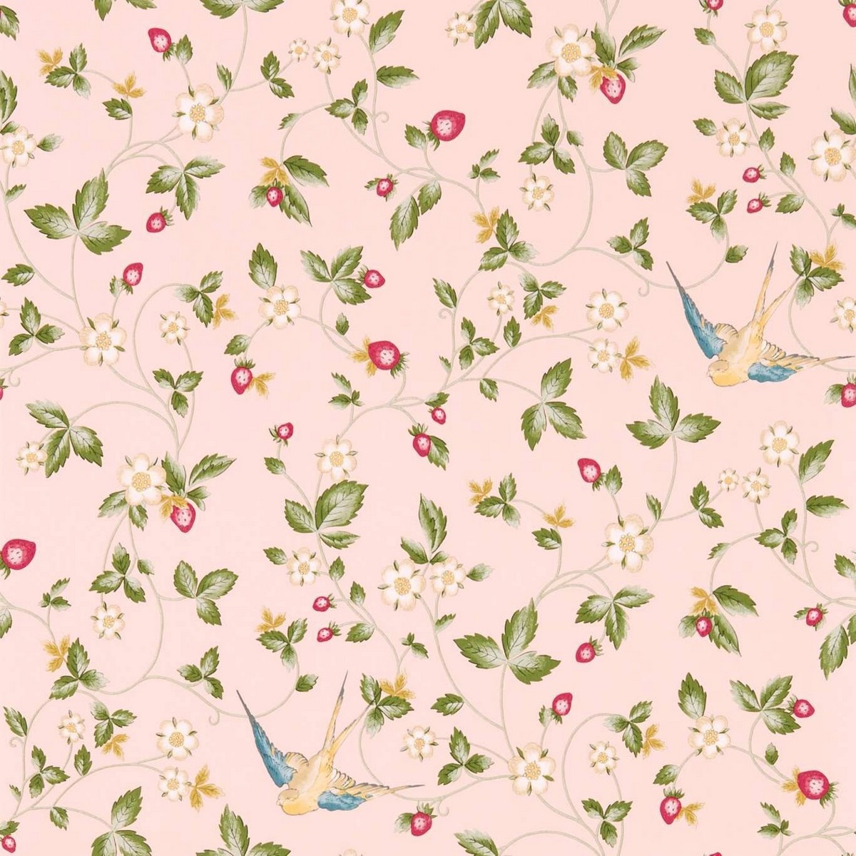 Wild Strawberry Blush Fabric by Wedgwood