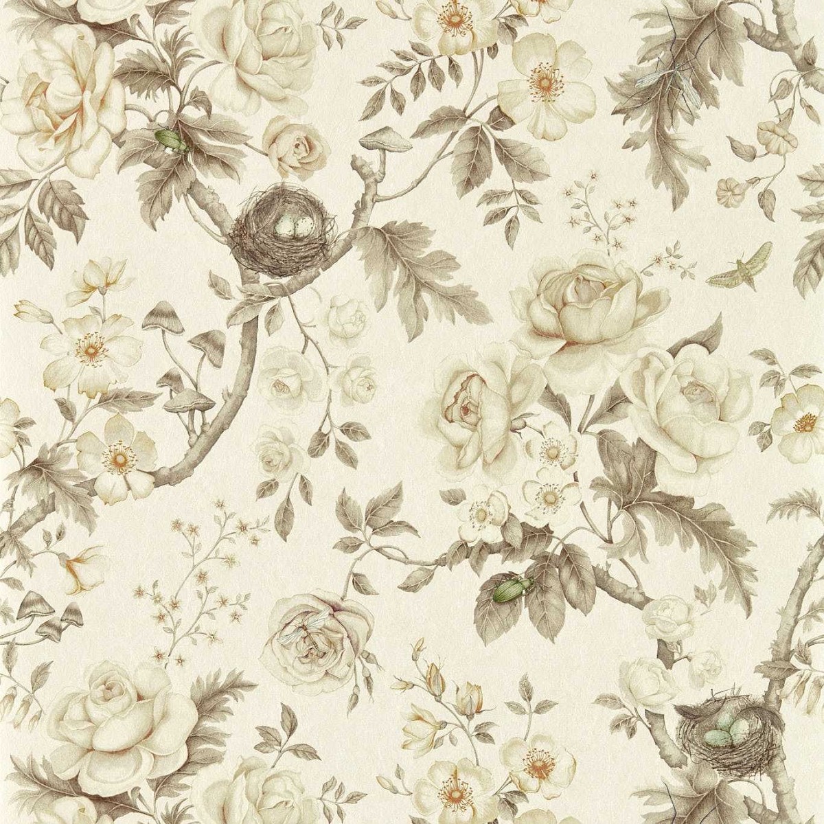 Tansy Bloom Oyster Fabric by Sanderson